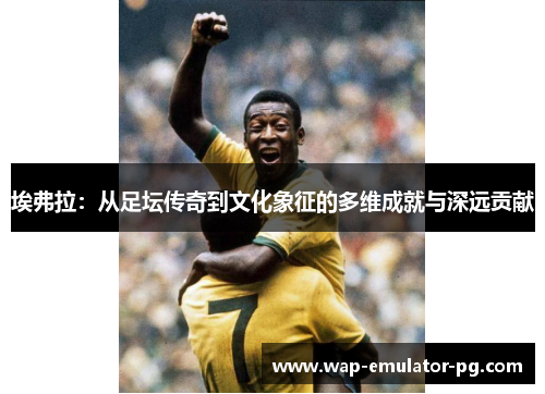 埃弗拉：从足坛传奇到文化象征的多维成就与深远贡献