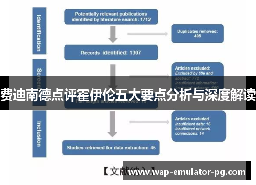 费迪南德点评霍伊伦五大要点分析与深度解读