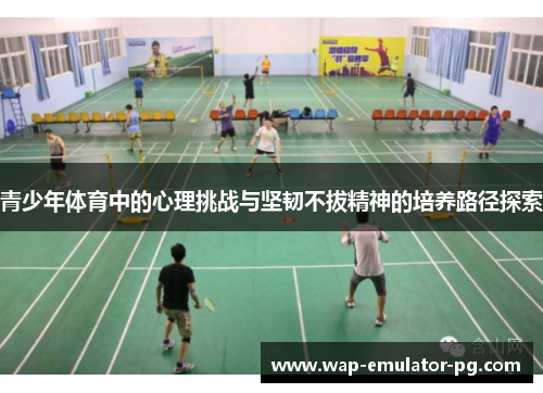 青少年体育中的心理挑战与坚韧不拔精神的培养路径探索