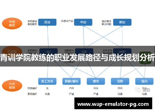 青训学院教练的职业发展路径与成长规划分析