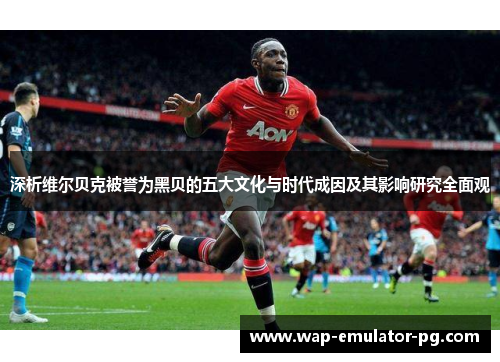 深析维尔贝克被誉为黑贝的五大文化与时代成因及其影响研究全面观