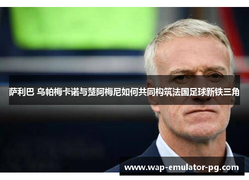 萨利巴 乌帕梅卡诺与楚阿梅尼如何共同构筑法国足球新铁三角